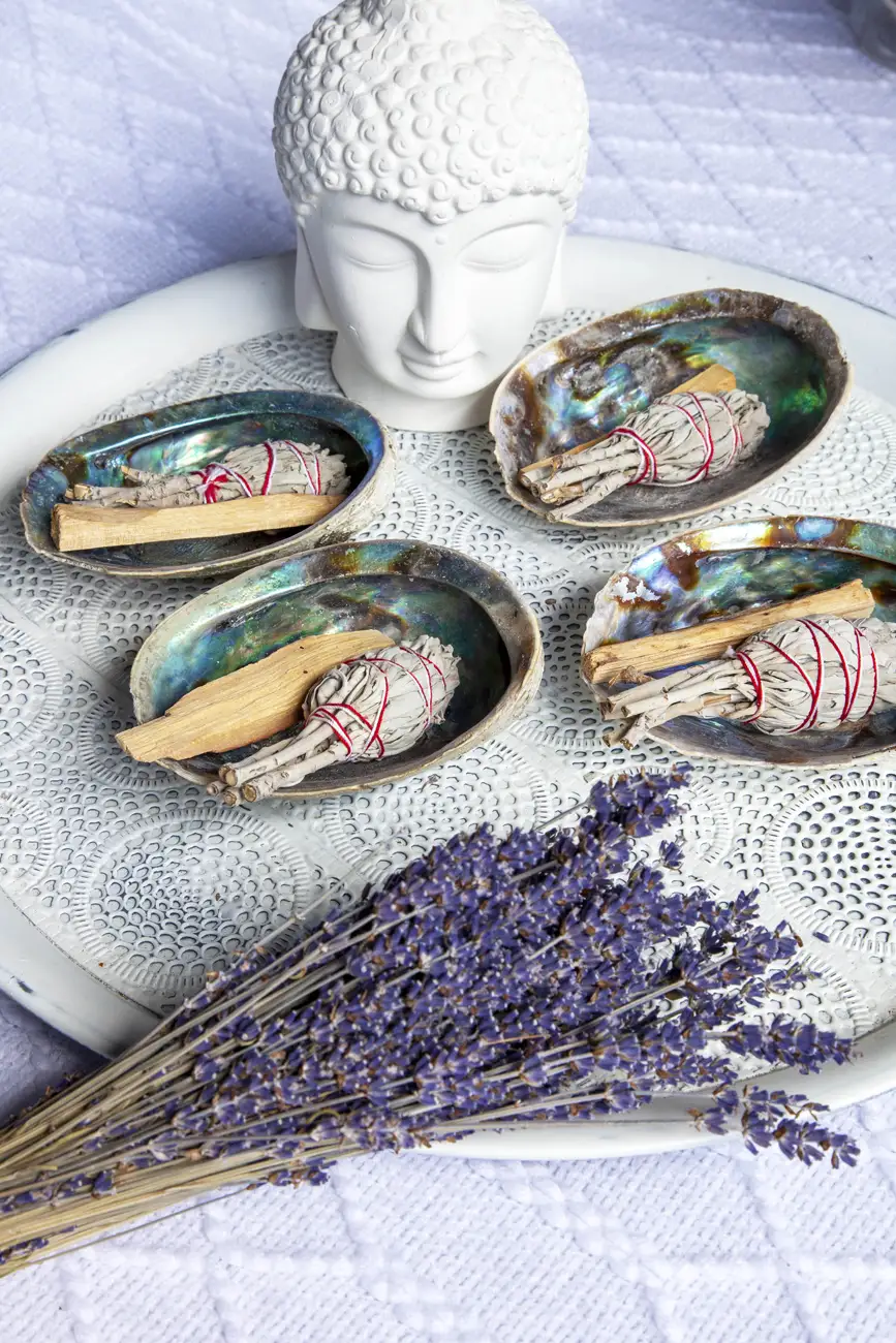 ABALONE SHELL & WHITE SAGE
