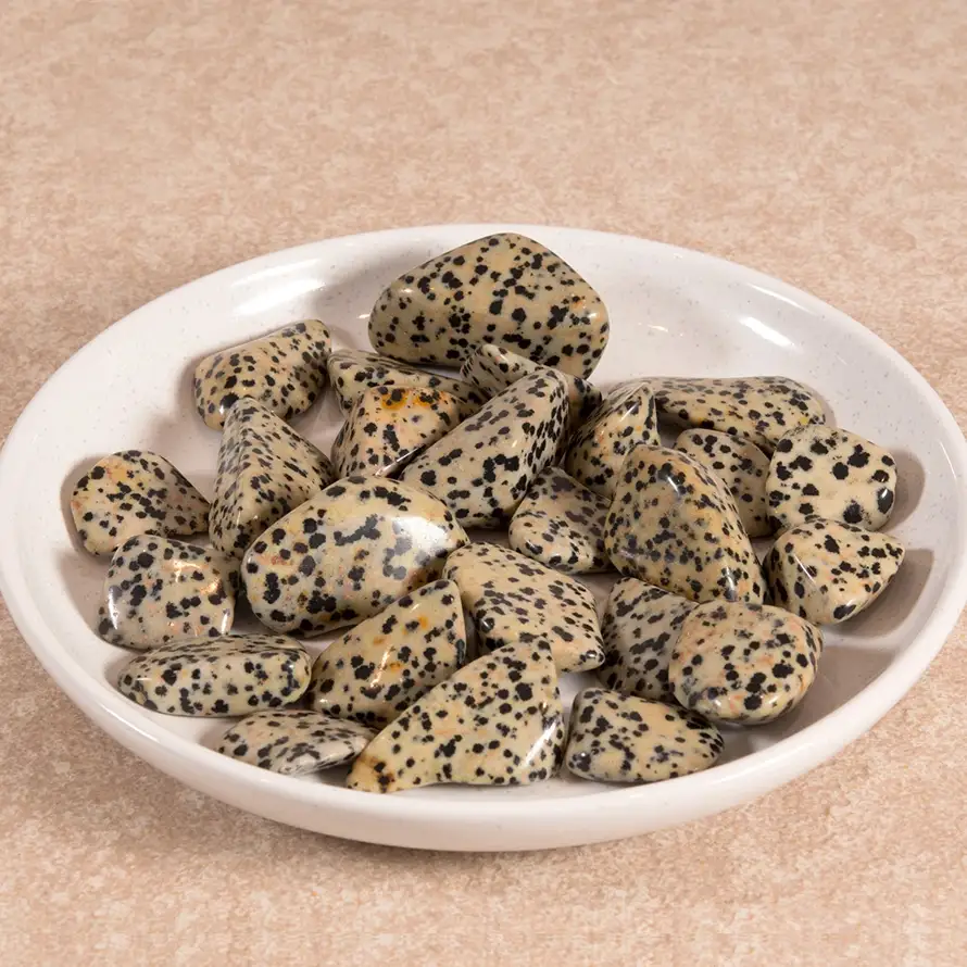 DALMATIAN JASPER