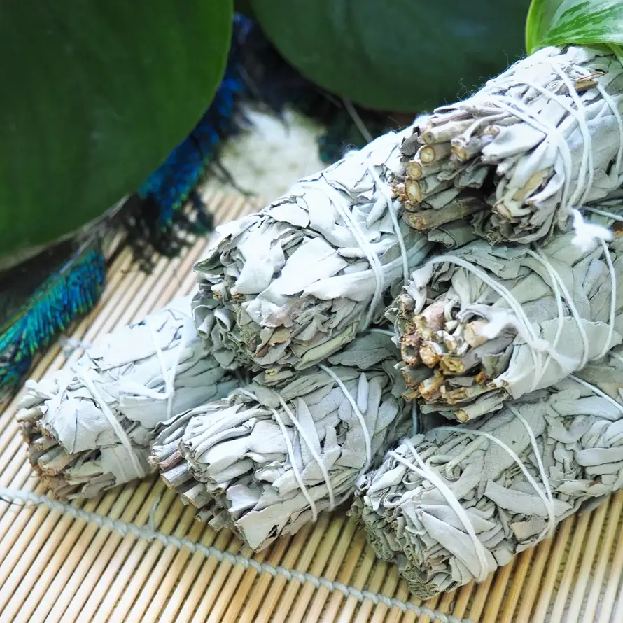 White Sage