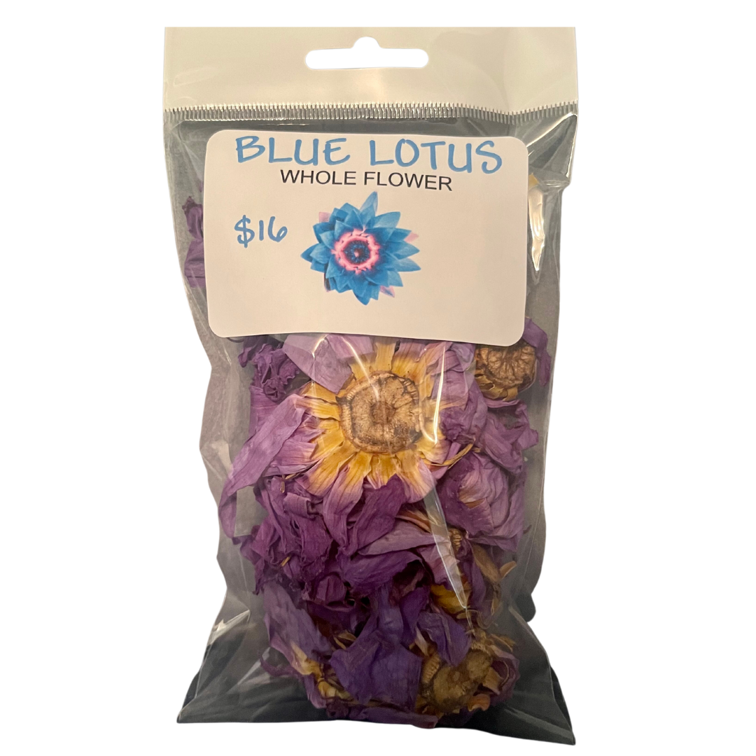BLUE LOTUS-WHOLE FLOWER